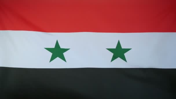 Flaga Syrii prawdziwy tkanina z bliska - Materiał filmowy, wideo