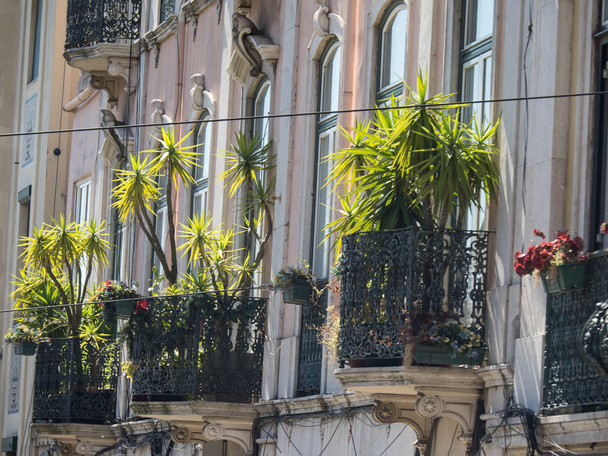 Lissabonin kaupunki
 - Valokuva, kuva