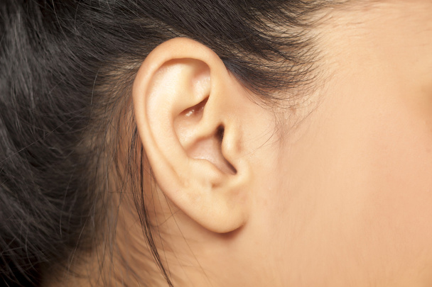 parties du corps - oreille féminine
 - Photo, image