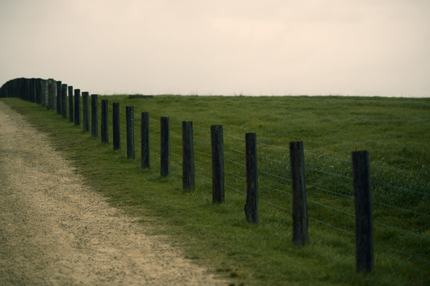 Egy háztáji legelő kerítés - Fotó, kép