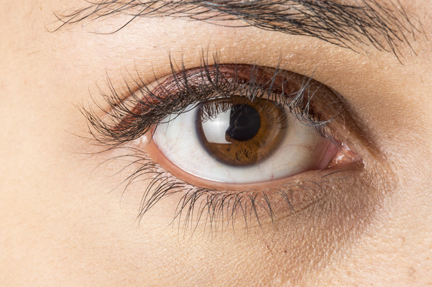 brown eye close - Фото, зображення