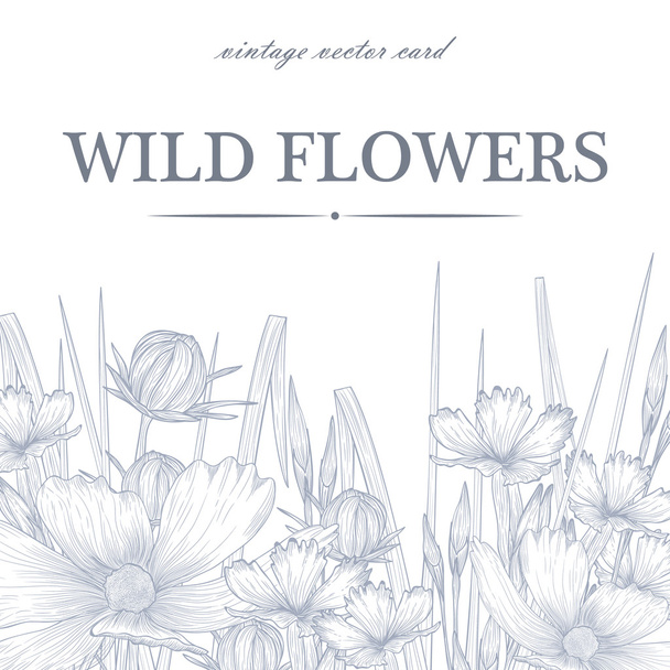 border with wild flowers  - Vettoriali, immagini