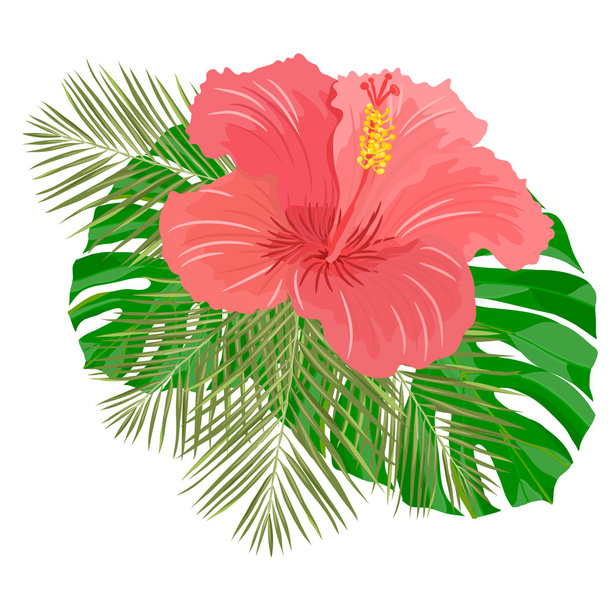 illustration with hibiscus flower - Vettoriali, immagini