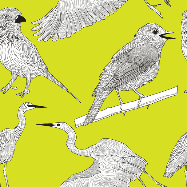 seamless pattern with graphic birds - Vector, Imagen