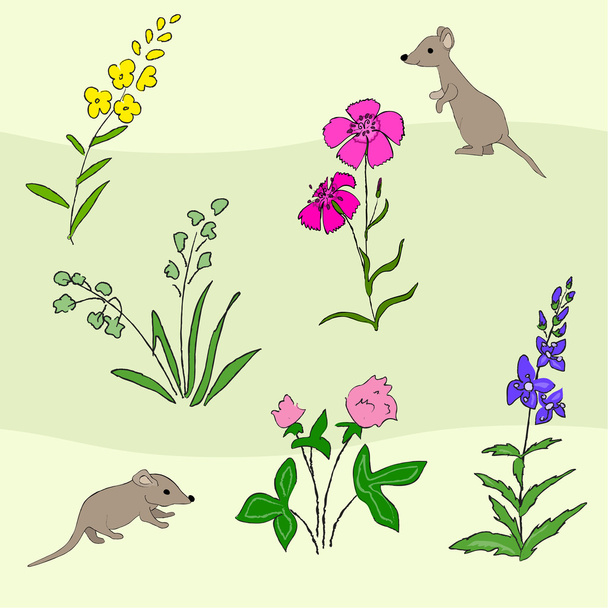 Wilde bloemen en muis - Vector, afbeelding
