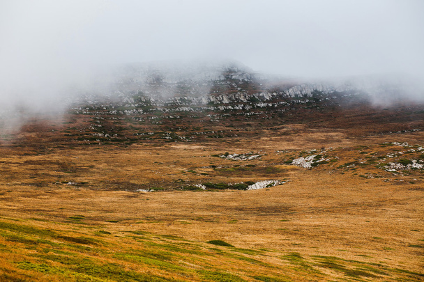 Autumn foggy landscape - Photo, Image