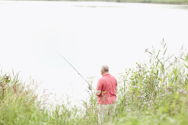 成熟したアングラーの湖で魚を捕る - 写真・画像
