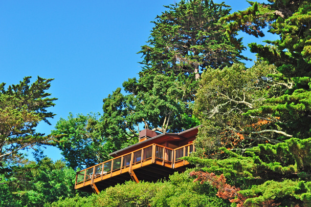 Califórnia, EUA: casa de madeira construída na colina verde de Sausalito, chamada Sutter Creek da Baía do Norte, uma cidade da Baía de São Francisco perto do extremo norte da Golden Gate Bridge
 - Foto, Imagem