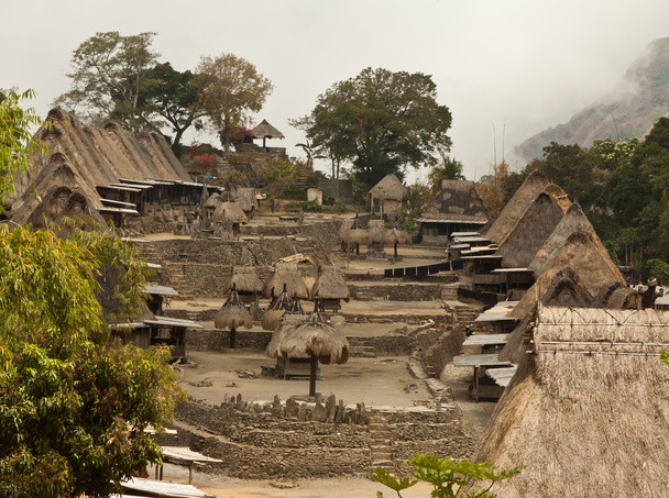 традиційне селище Бена на острові Флорес Індонезії - Фото, зображення