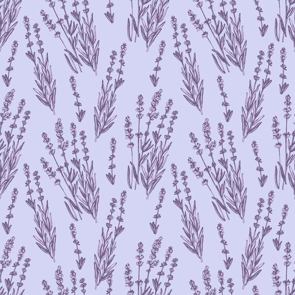 Graphic lavender pattern. - Vektör, Görsel