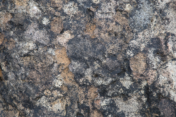 Closeup texture, old wall abstract background - Fotó, kép