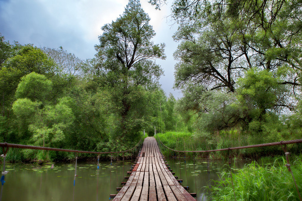 Ponte balançando velha de madeira
 - Foto, Imagem