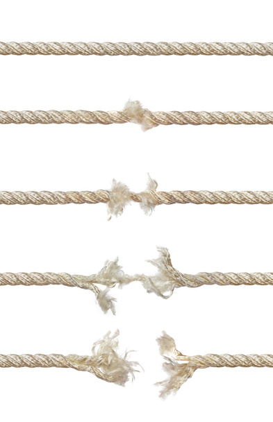 Set of ropes - Photo, Image