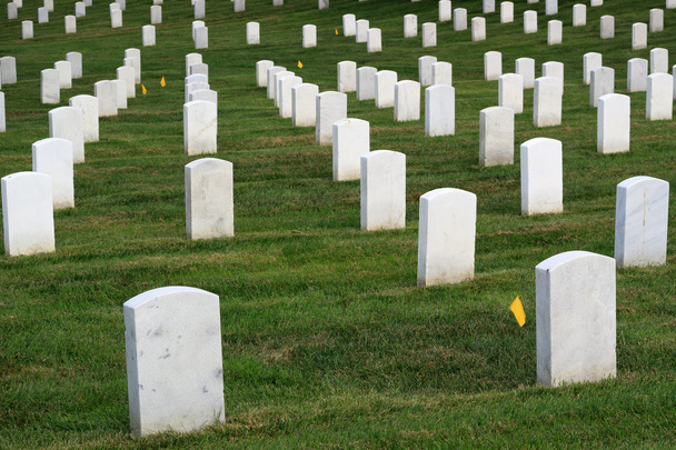 Nationalfriedhof von Arlington  - Foto, Bild