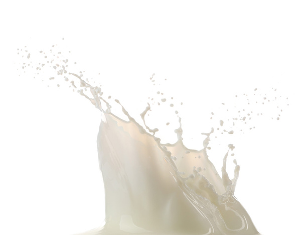White Milk Splash - Photo, image