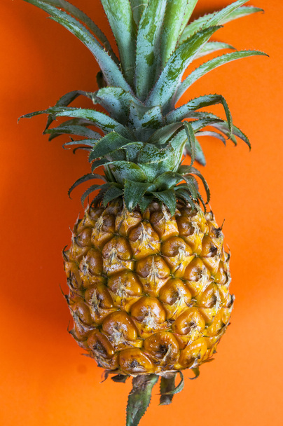 Fresh organic pineapple  - Photo, Image
