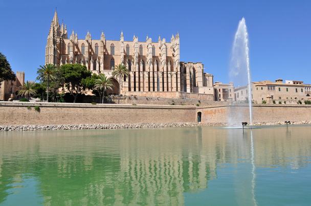 Mallorca katedrála - Fotografie, Obrázek