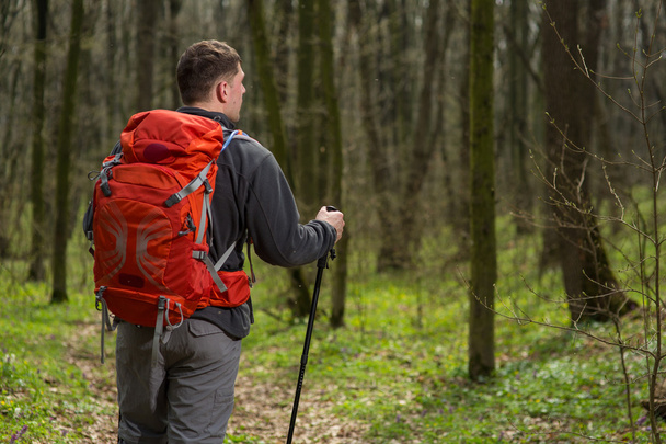 Male hiker looking to the side walking in forest - Zdjęcie, obraz