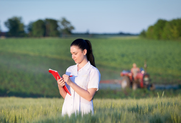 Агрономіст у пшеничному полі
 - Фото, зображення