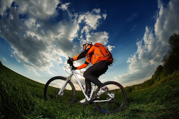 Biker im orangefarbenen Trikot auf grünem Sommerfeld unterwegs - Foto, Bild
