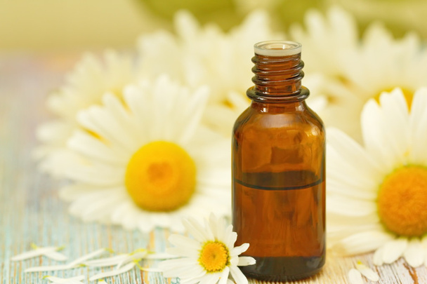 Chamomile essential aroma oil - Photo, Image