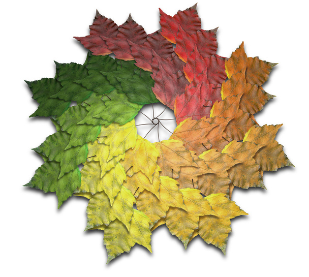 Espectro de espiral de outono de folha de bordo
 - Foto, Imagem