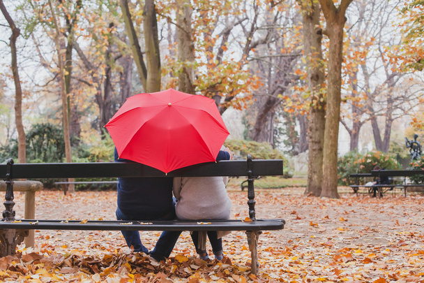 couple under umbrella in park - Foto, afbeelding