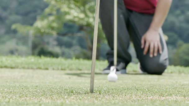 мяч для гольфа и клюшка на зеленой траве, конечно
 - Фото, изображение