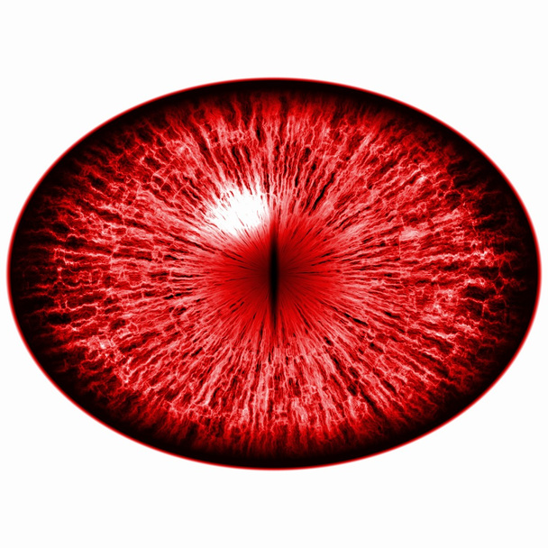 Seven eyes set. Isolated red elliptic eye. Eye with iris and pupil. - Photo, Image