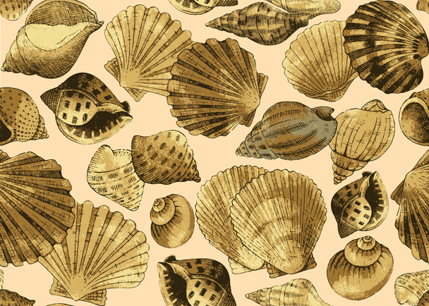 Seashells. Fundo sem costura
 - Vetor, Imagem