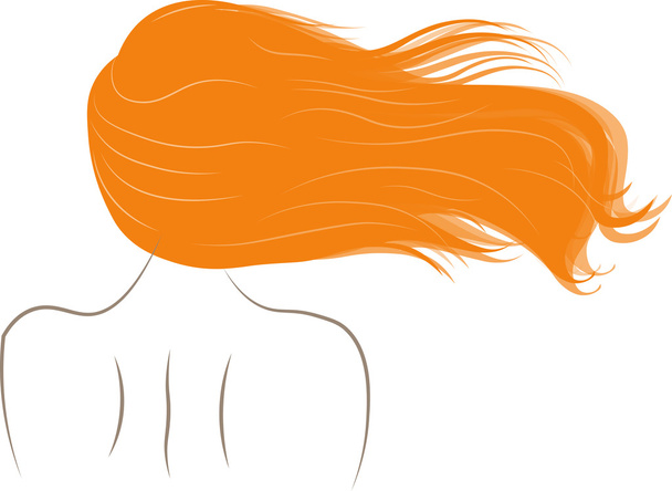 Illustrazione vettoriale della silhouette femminile con bei capelli
 - Vettoriali, immagini