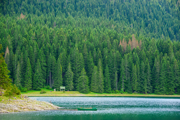 Beautiful Black Lake, Green Forest and Beautiful Mountains in the Morning. National Park Durmitor, Montenegro - Photo, image
