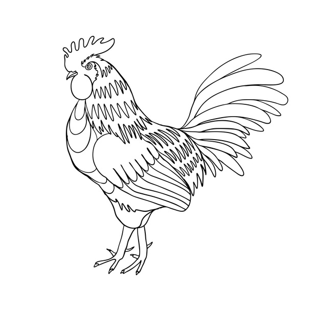 Image of a hand drawing cock or rooster  - ベクター画像