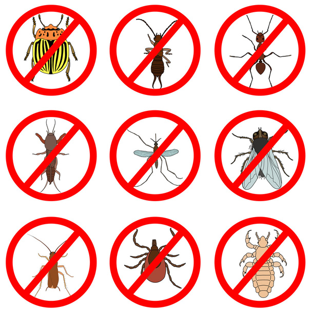 Pest en insectenbestrijding, set pictogrammen. Teek en cricket, bug en ant, vliegen en kakkerlak, colorado kever en mug, vector - Vector, afbeelding