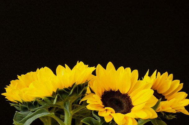 Flowers of beautiful sunflowers as background - Zdjęcie, obraz