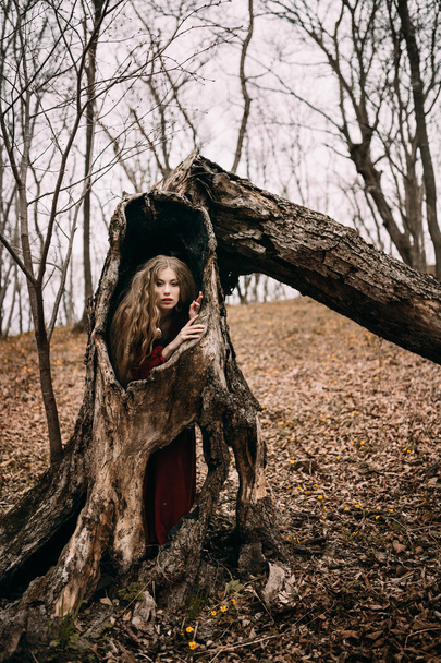 Young witch in the autumn forest - Fotó, kép