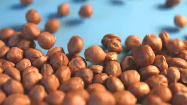 Hazelnuts on a blue background. 2 Shots. Horizontal pan. Close-up. - Footage, Video