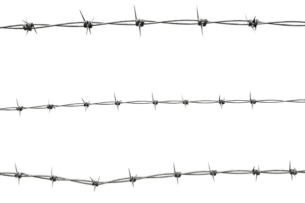 Barbed wire - Photo, Image