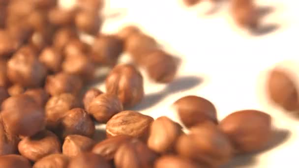 Hazelnuts on a white background. 2 Shots. Horizontal pan. Close-up. - Footage, Video
