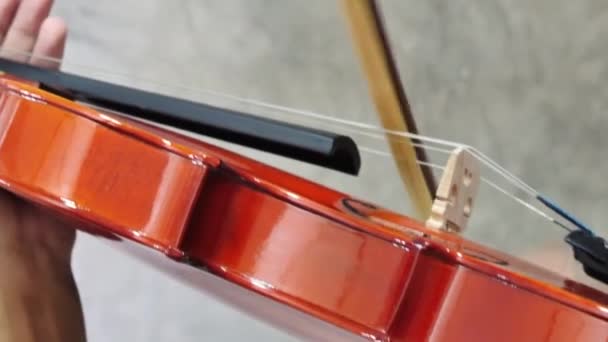 Close-up van muzikant die viool speelt, klassieke muziek - Video