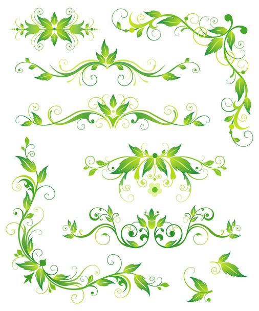 Floral green elements for design - Vettoriali, immagini