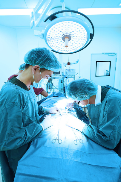 two veterinarian surgeons in operating room  - Foto, Imagen