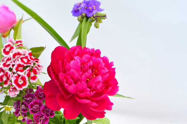 Background with flowers - peonies, carnations, daisy - Photo, Image