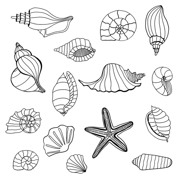 Seashell set collection. - Вектор,изображение