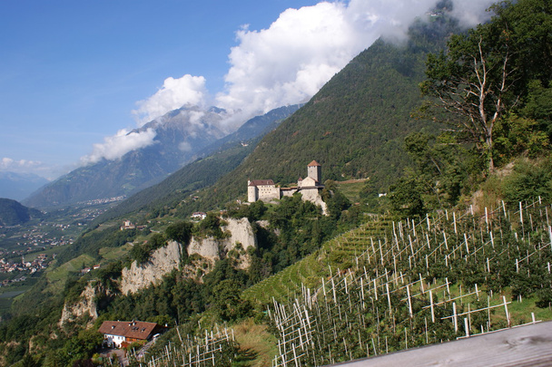 南 tyrol のチロルの城 - 写真・画像