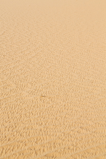 Omán a régi textúra-line hullám - Fotó, kép