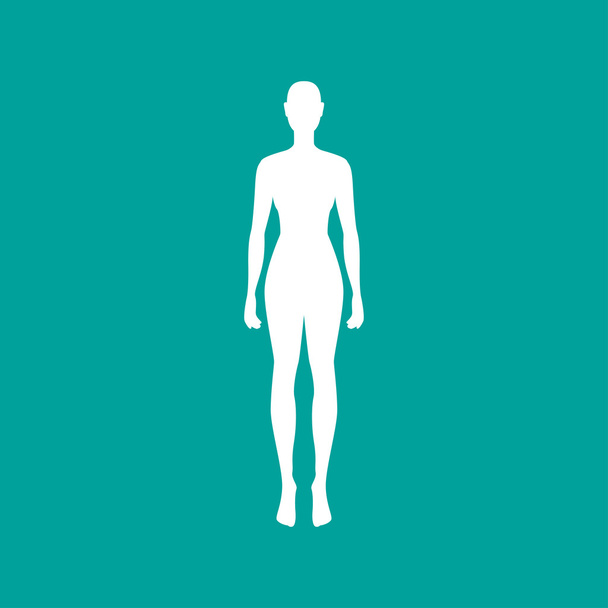 Esquema del cuerpo de la mujer en blanco. Ilustración vectorial
 - Vector, Imagen