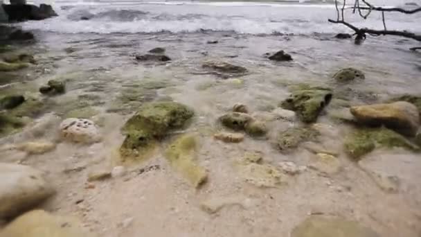 Océano olas en la playa de piedra
 - Imágenes, Vídeo