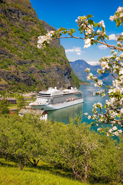 Κρουαζιερόπλοιο εναντίον άνθος δέντρο στη Νορβηγία, το λιμάνι του Flam - Φωτογραφία, εικόνα