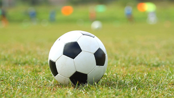 футбольный мяч на зеленой траве  - Кадры, видео